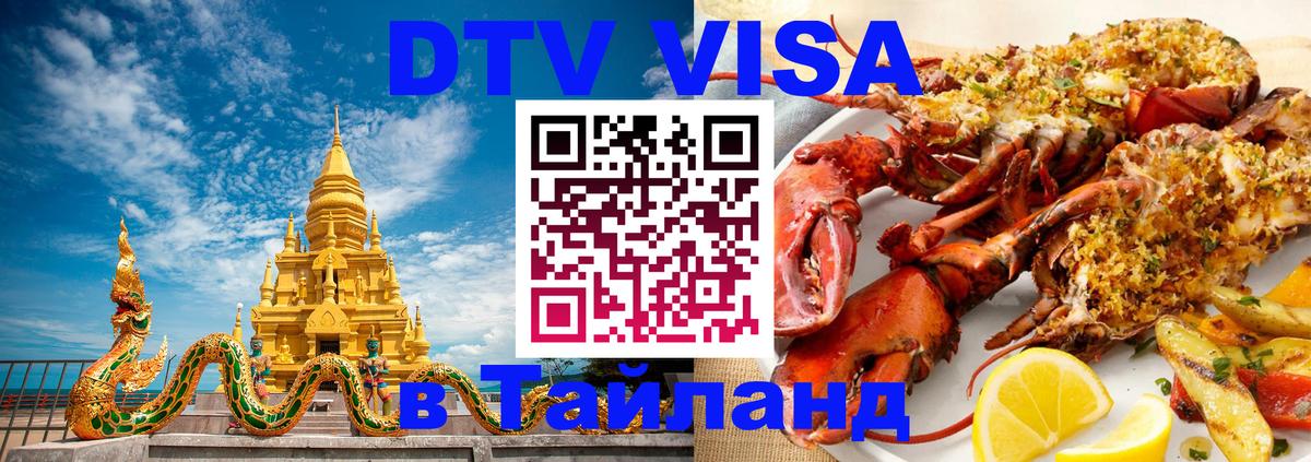 Оформление DTV визы под ключ: стоимость и тарифы, только загранпаспорт - Анкара 